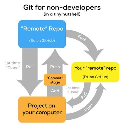 A flow displaying how a remote repo is pulled onto your computer, then commited in a stage before being pushed back, with a fork coming off of the main remote repo where you can push and pull to your heart's desire.